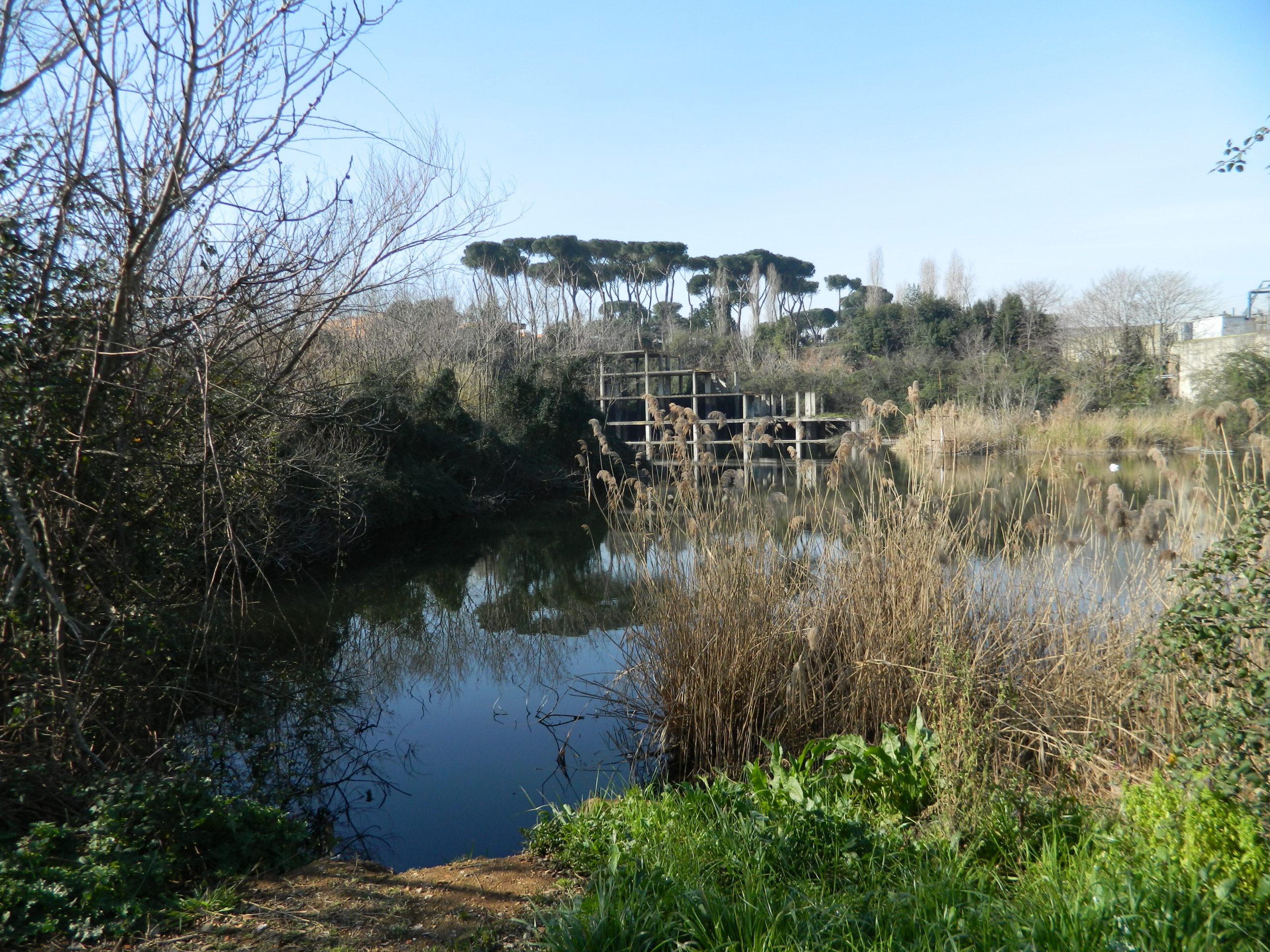 Il Lago Bullicante